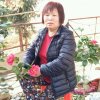 唐仲连的头像