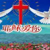 平凡入尘的头像