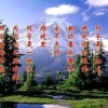 春暖花开的头像