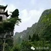 飘飘的头像