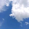 简兮 ◥的头像