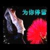 铜悦为你停留的头像
