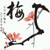 云的头像