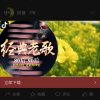 歌里有我的快乐的头像