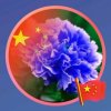 蘭菊的头像