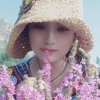 韵律♡淡淡❀花语♡的头像