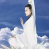 温竹的头像