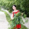 维维的头像