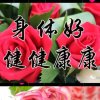 云儿也有泪的头像