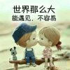 tangtang的头像