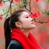 天河随缘的头像