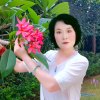 清静的头像