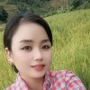 随心所欲的头像