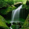 高山流水  的头像