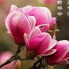 爱：不是自私的！也不是用嘴说的……的头像