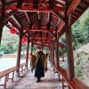 小河淌水《退》的头像