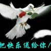花之香的头像