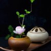 莲庭的头像