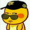 一路向北的头像