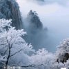 随缘的头像