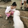 11+11二我找你的头像