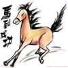 米粒15502691456的头像