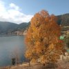 青山依旧的头像