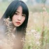 金大帅的头像