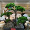 平安的头像