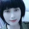 《凤琴》的头像