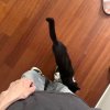 0509的头像