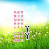 小米粒《小号2》的头像