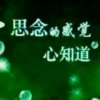 思念的头像