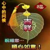 昊泽溪依的头像