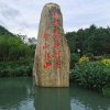 你的月亮我的心的头像