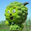 花开花落的头像