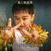 永不分离 醉乐韵 的头像
