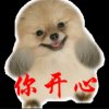 爱拼才会赢的头像