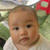 珍寻诗忆郝叔叔的头像