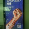 感恩的人的头像