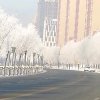 知足常乐的头像