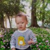 如梦的头像