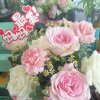 aihecha的美女的头像