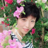 云 、的头像
