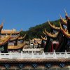 文豐閣(暂退)的头像