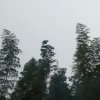 快乐每天的头像