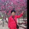 夕阳红的头像