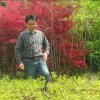 我的声音，我的歌。的头像