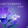 雨后的彩虹的头像