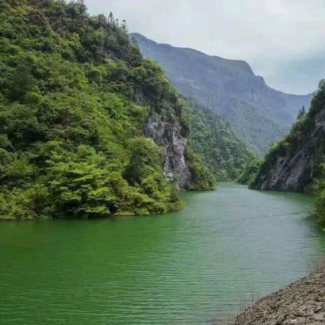 晚秋(热度:21)由一生有你总创翻唱，原唱歌手毛宁